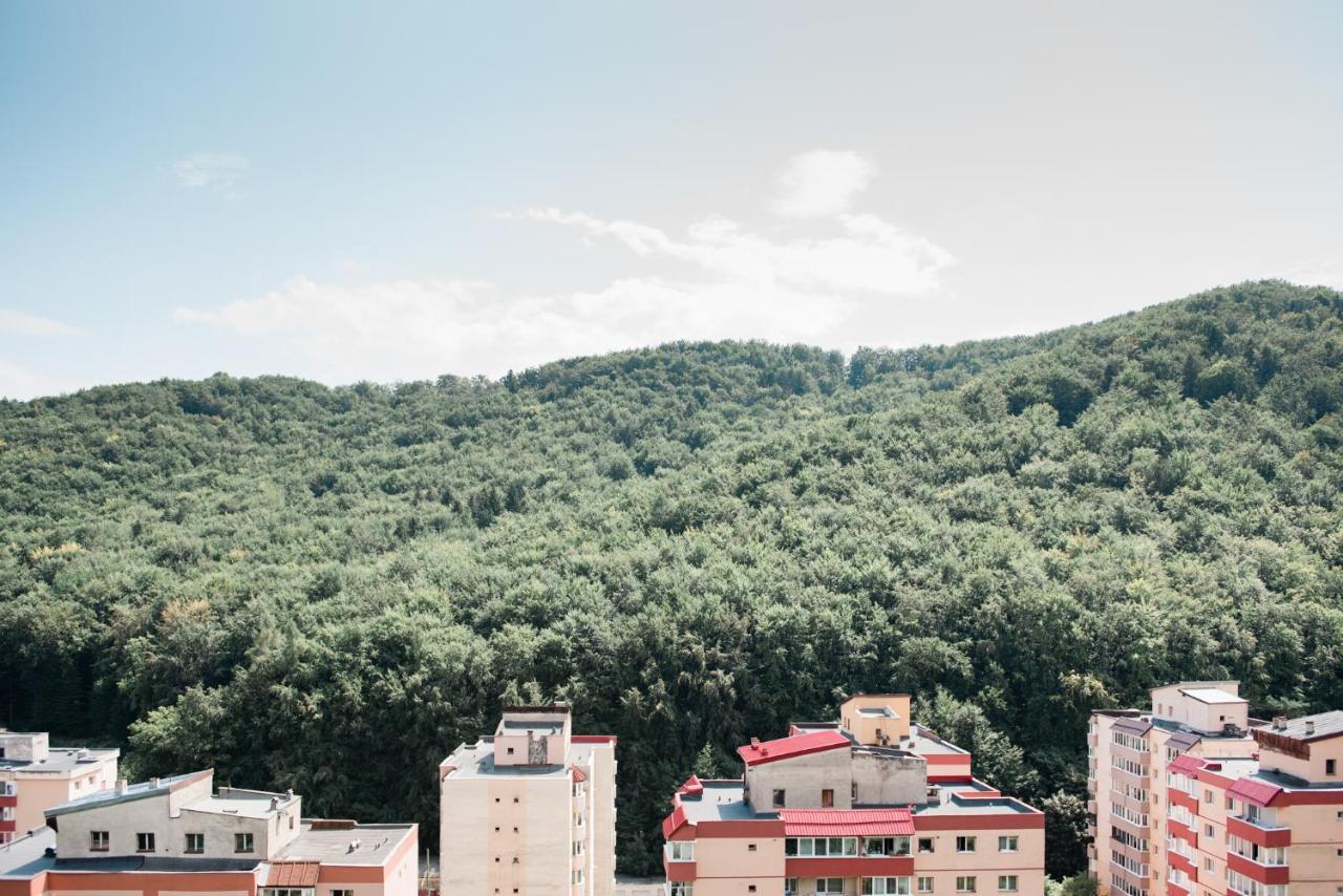 Nature Escape Apartment Брашов Екстериор снимка